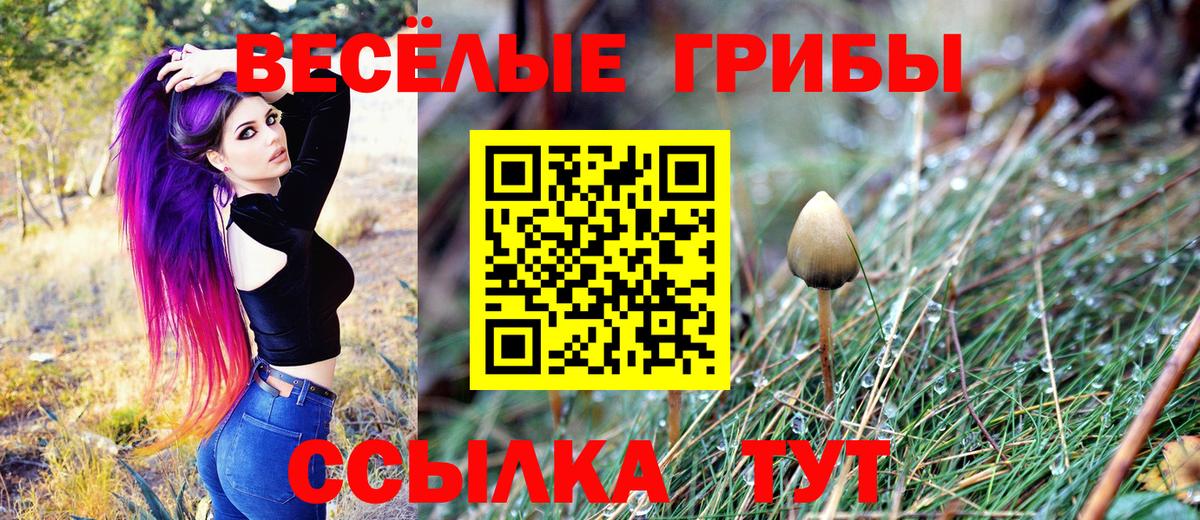Галлюциногенные грибы Psilocybine cubensis Кыштым